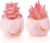 Der Rose Set of 2 Fake Succulent Plants Mini Artificial Plants in Shatterproof Gold-Streak Pots, Pink Room Decor for Bathroom Vanity, Office Desk Accessories, Gift for Women