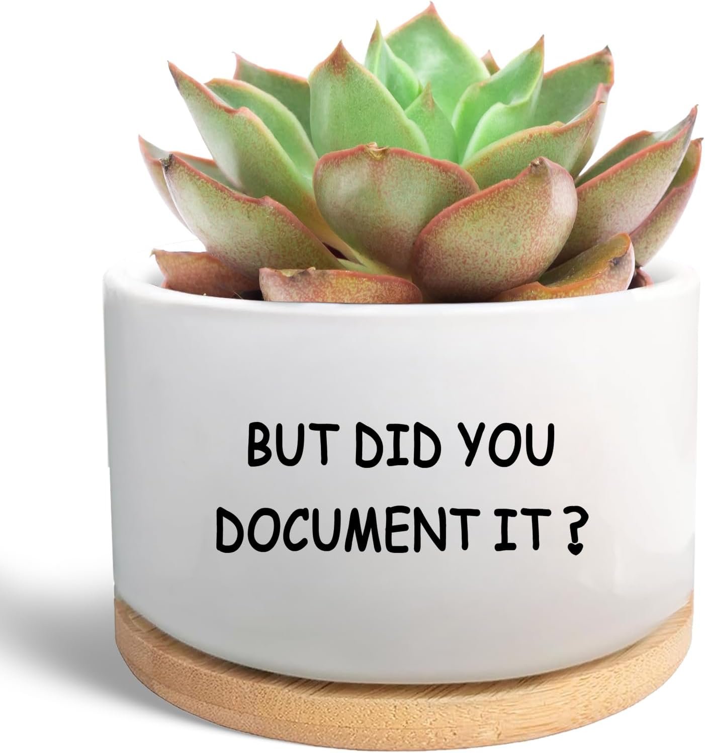 Office Desk Shelf Decor, Succulent Plant Pot, Ceramic Flower Cactus Planter Office Accessories Gifts for Coworker Employee Colleague Women Men Friend, But Did You Document It (Plants Not Included)