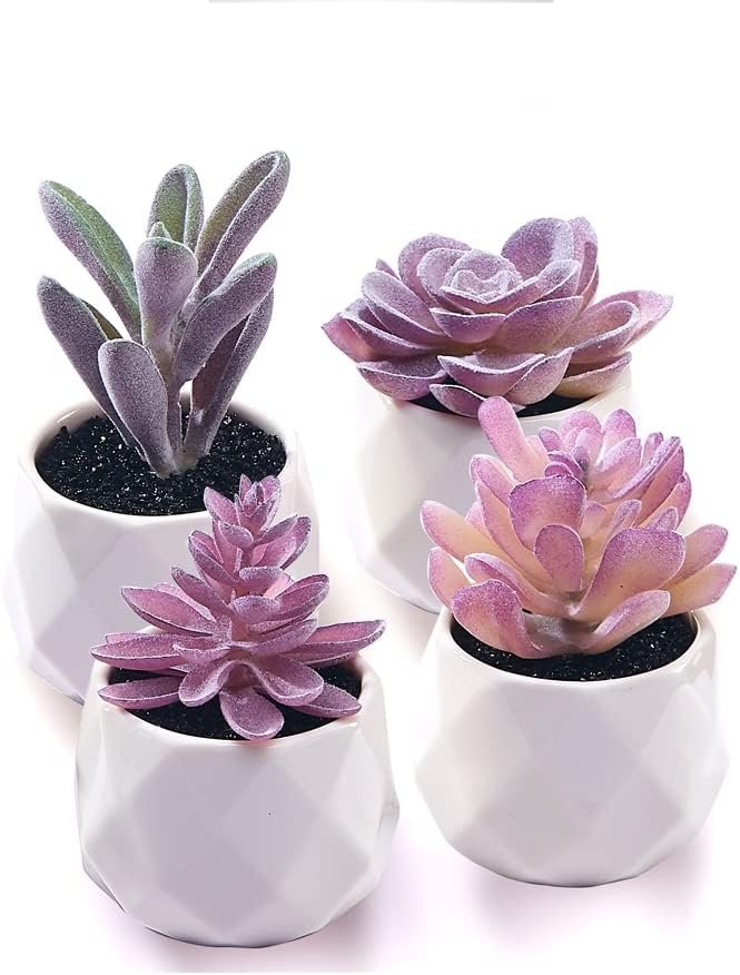 CADNLY Fake Succulent Plant Set – Artificial Desk Plants for Women Desk – Realistic Faux Succulents in Ceramic Pots – Mini Purple Decor for Bedroom Bathroom Office Shelf 4 Pack