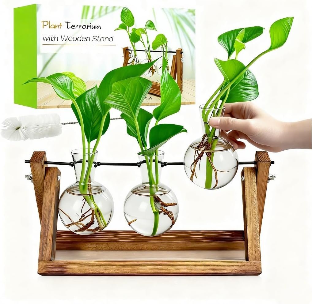Renmxj Plant Propagation Stations with Wooden Stand & 3 Glass Bulb Vases – Plant Terrarium for Indoor Plants, Home Office Desk Decor, Gardening Gifts for Women Mom, Birthday Gifts for Plants Lovers